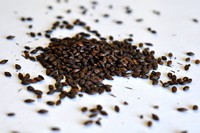 Carafa II Special (Dehusked) (German)